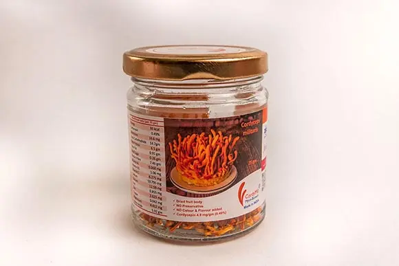 CordyMil Cordyceps militaris 25g dried mushroom pack