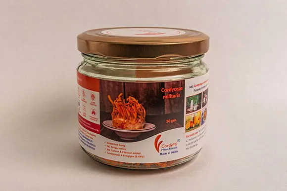 CordyMil Cordyceps militaris 50g dried mushroom pack